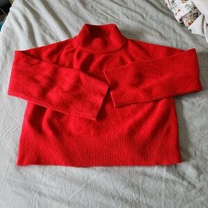 Red Turtleneck Sweater